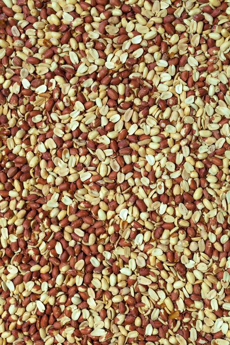 tasty healthy nuts harvest