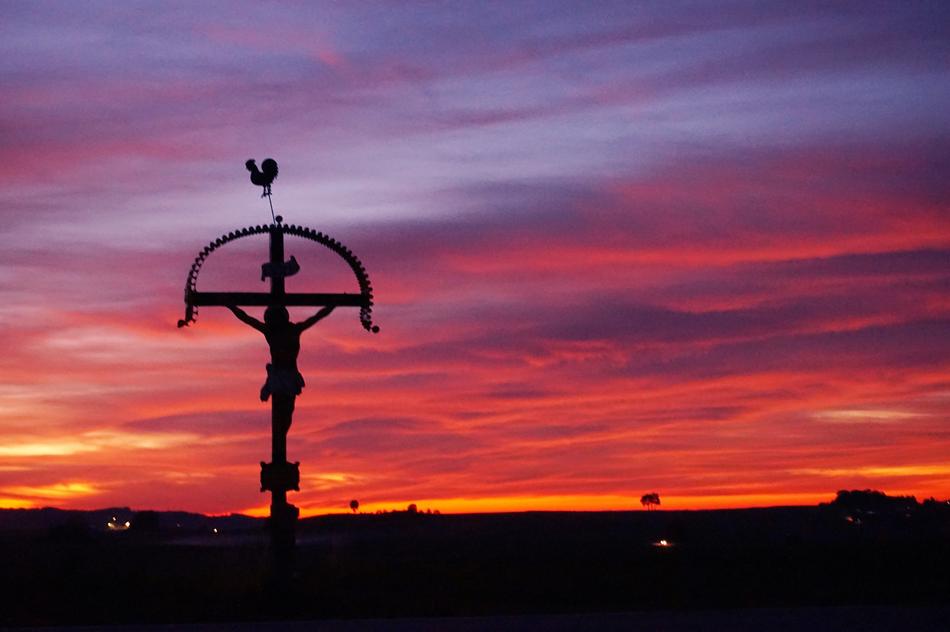 a magnificent sign with a bird on a sunset background