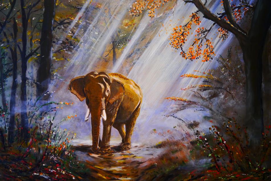 elephant animal mammal pachyderm