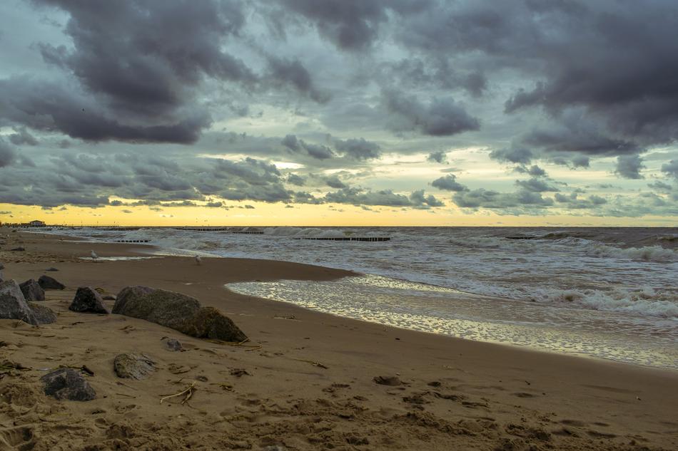 Beach Sea Water