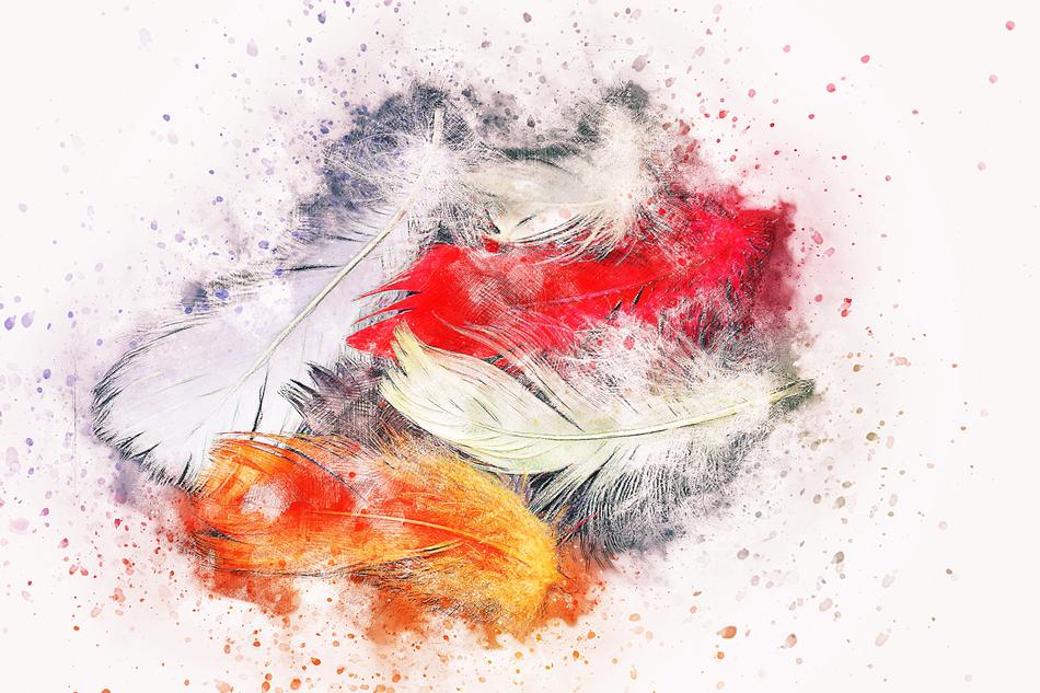 feathers bird art abstract
