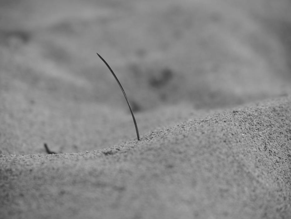 Sand Sea Beach