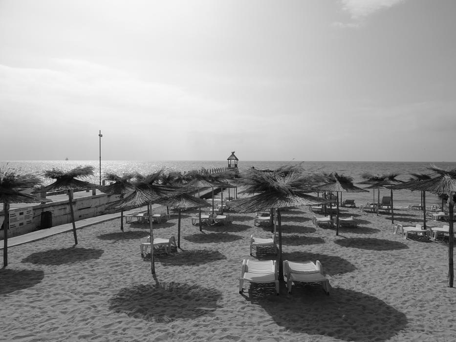 Beach Sunbathing Sea