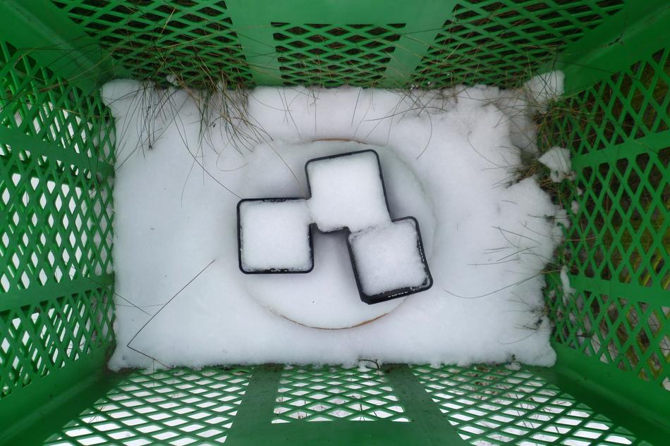 Winter Basket Green