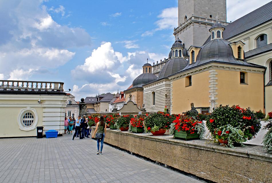 flowers on the background of buildings street