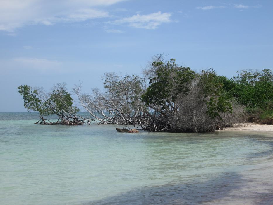 Beach Water