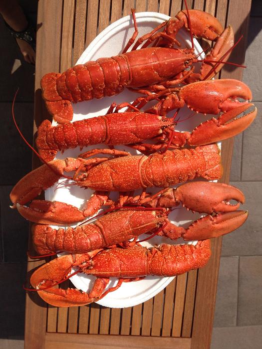 Boiled lobsters on the table