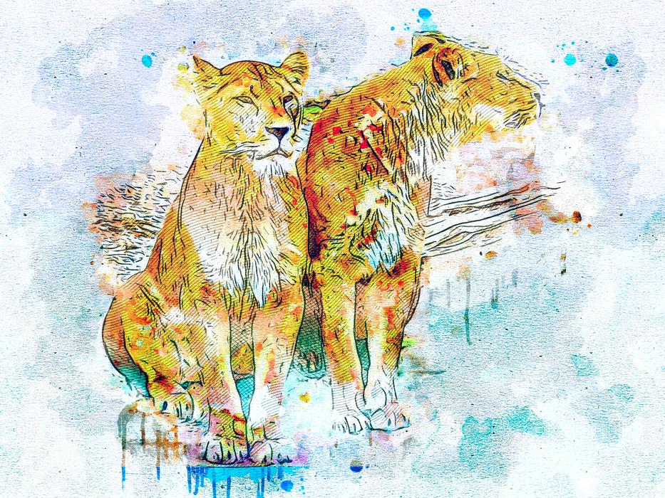 lioness wild art abstract