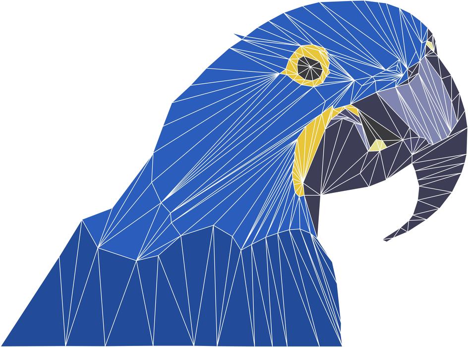 geometric pattern, blue parrot