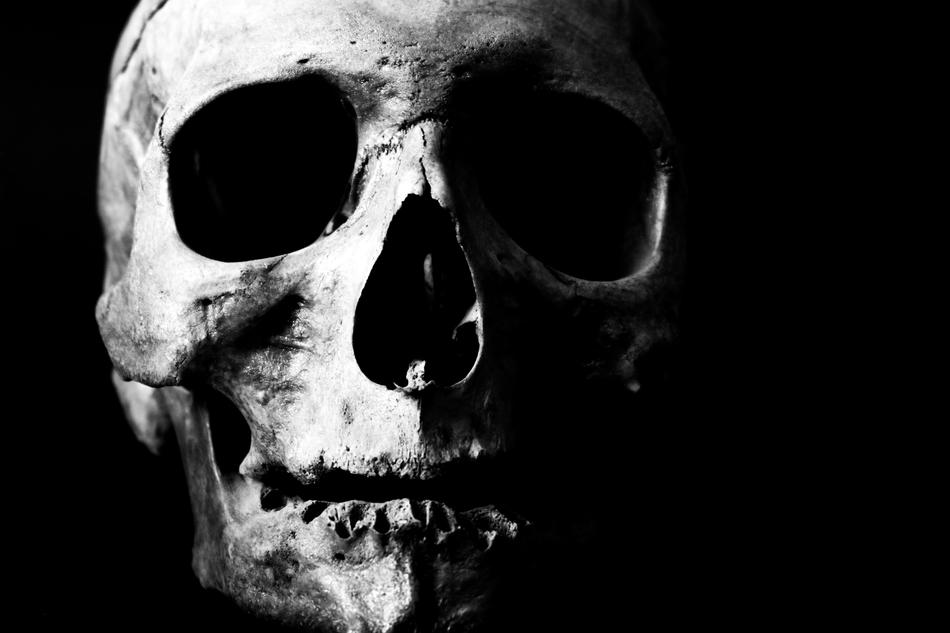 human skull on black background
