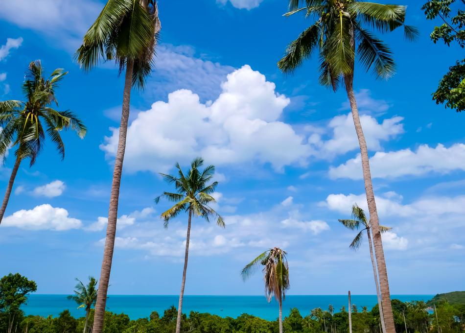 Koh Samui Beach Sea