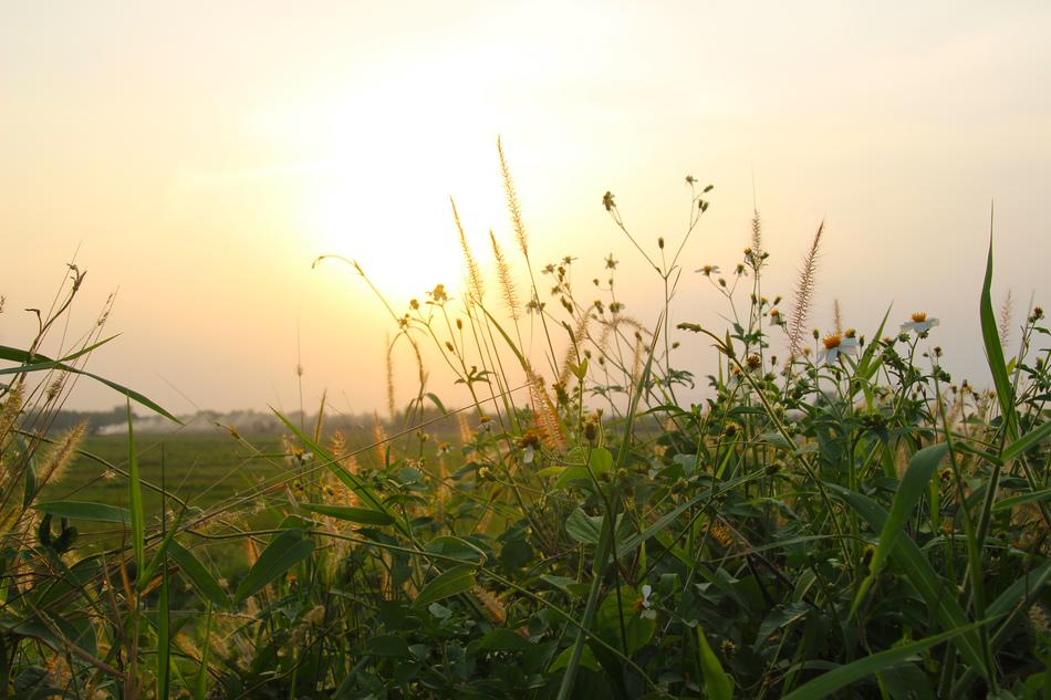 Sunset Sky Sunrise