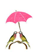 two parrots under an umbrella