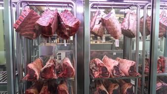 raw meat in a display case