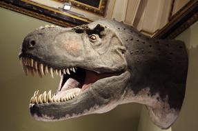 Dinosaur Rex T-Rex