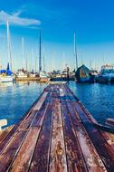 Marina Boats Empty