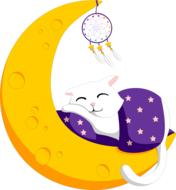 crescent sleeping cat dreamcatcher