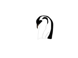 penguin emperor antarctica polar