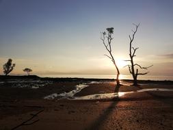 Sea Sand Sunset In The