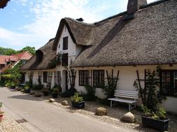 House Reed Roof Thatched