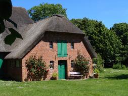 House Thatched Roof Reed