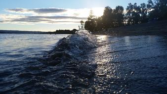 Water Wave Crashing Trees