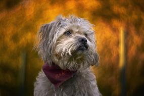 Alfredo Petzval Bokeh Swirly