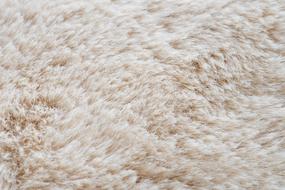 Animal Backdrop Background