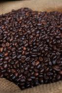 roasted coffee beans in bags