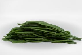 fresh green beans on a white background