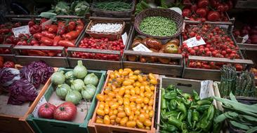 ripe vegetables in boxes at the market