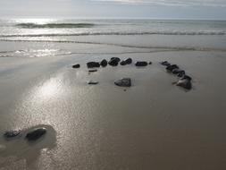 Sylt North Sea Beach Stone circle