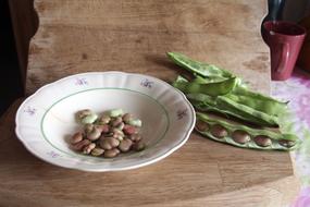tasty beans on a plate