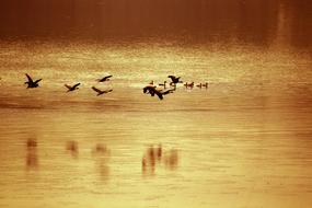 Bangladesh River