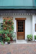 cozy house with flowers
