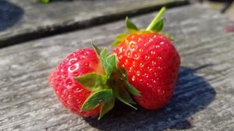 delicious strawberries under the sun