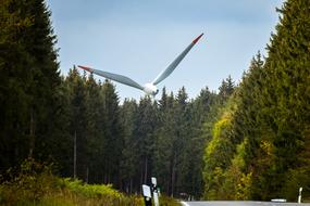 wind turbine over a green forest