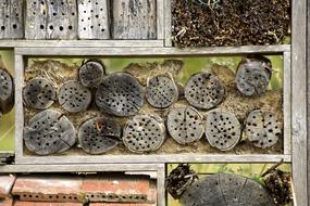 Insect Hotel House