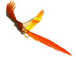 Parrot Flight Isolated