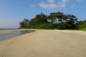 Beach Sea Wandoor