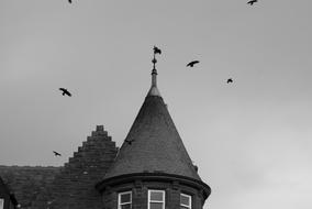 House Crow Tower