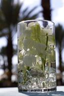 Event Photography Centerpiece