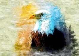 colorful drawing of a falcon