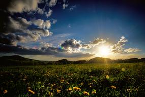 Meadow Sun Sunset