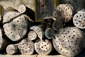 Bee Hotel Insect Bees