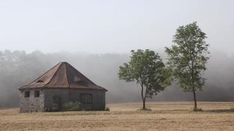 Fog Building Landscape