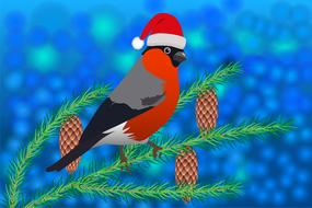 bullfinch bird nature tree animals