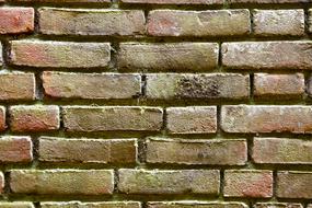 Brick Wall Yellow Seam