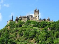 castle trees green view