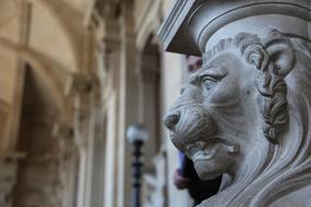 lion statues inside the building